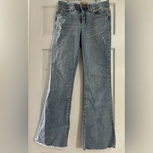 Democracy Abroad Technology Jeans